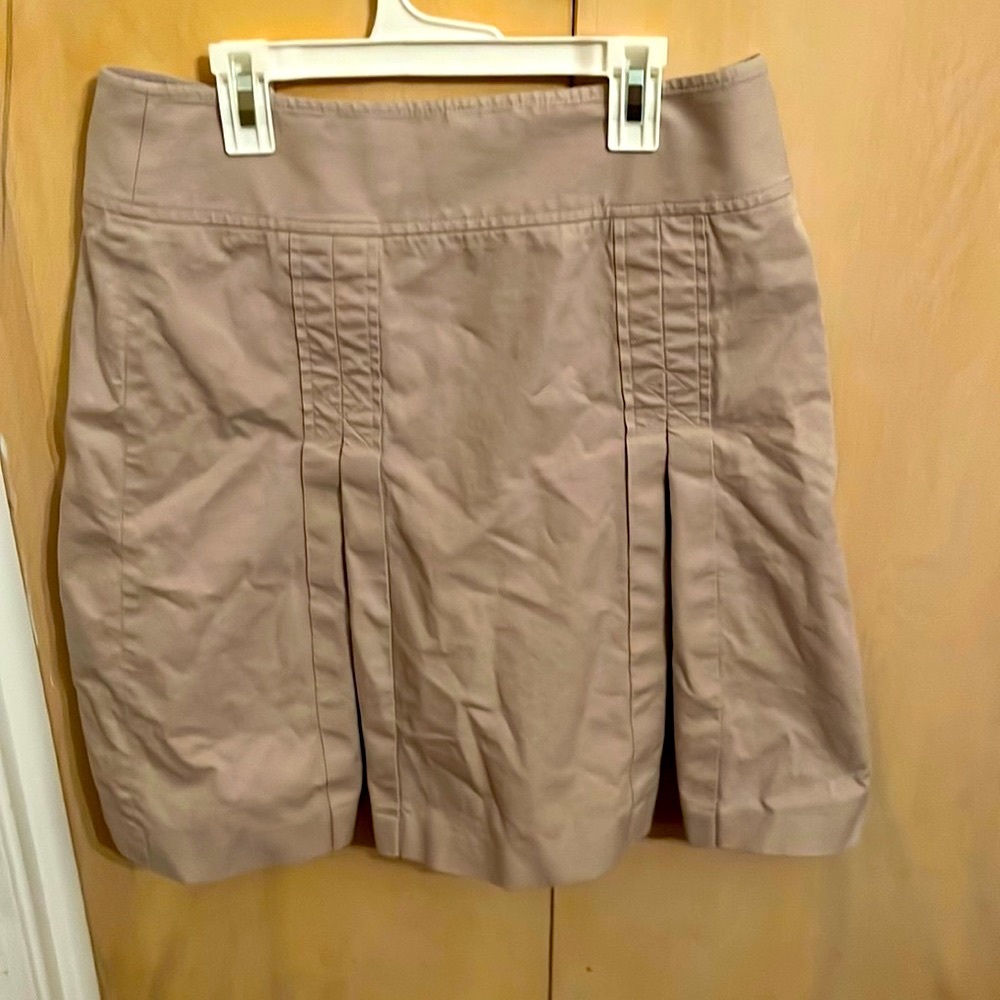 Ann Taylor LOFT Pleated Skirt
